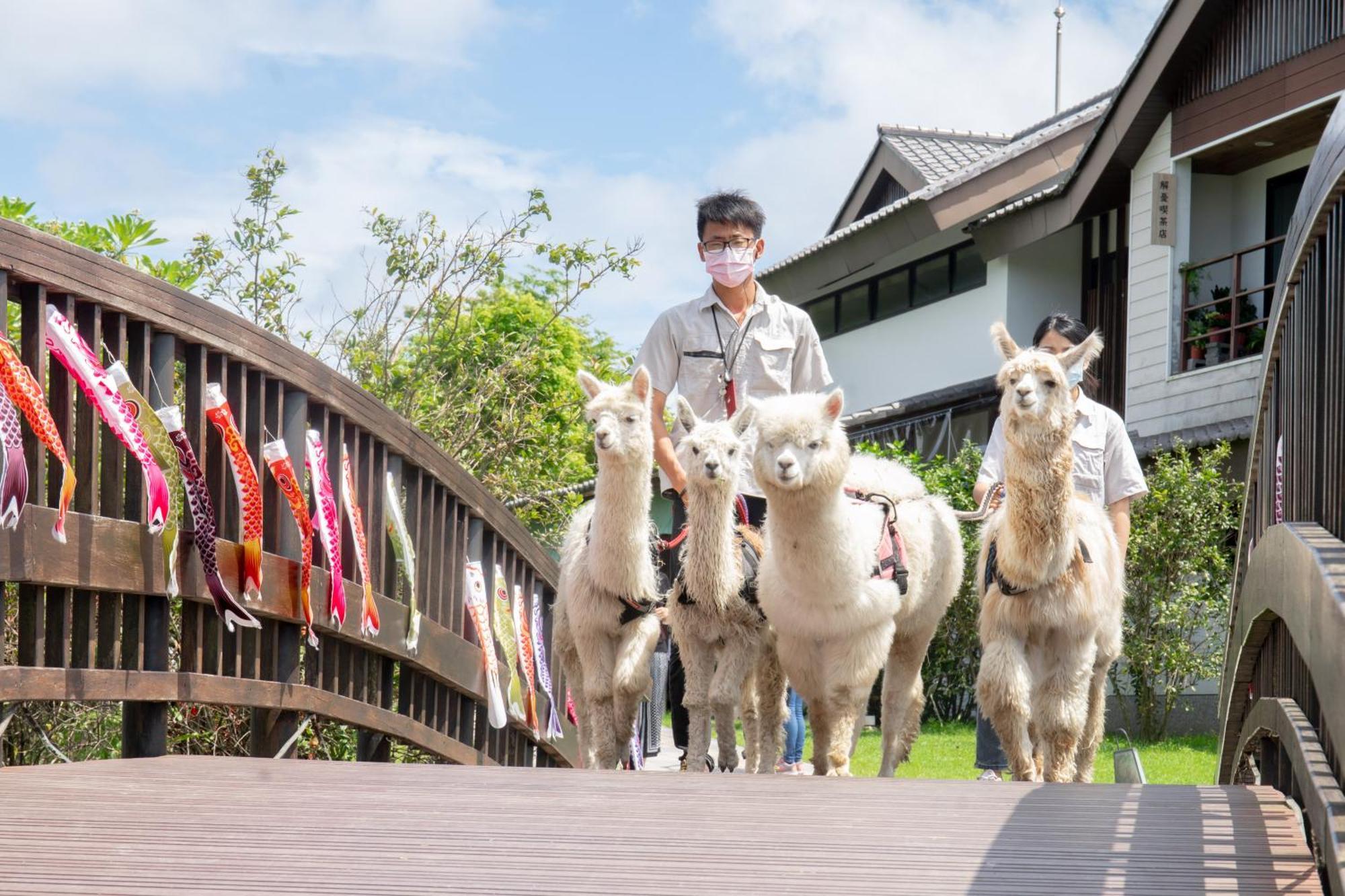 Dancewoods Hotel Wujie Εξωτερικό φωτογραφία